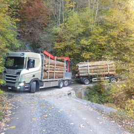 Holztransporte